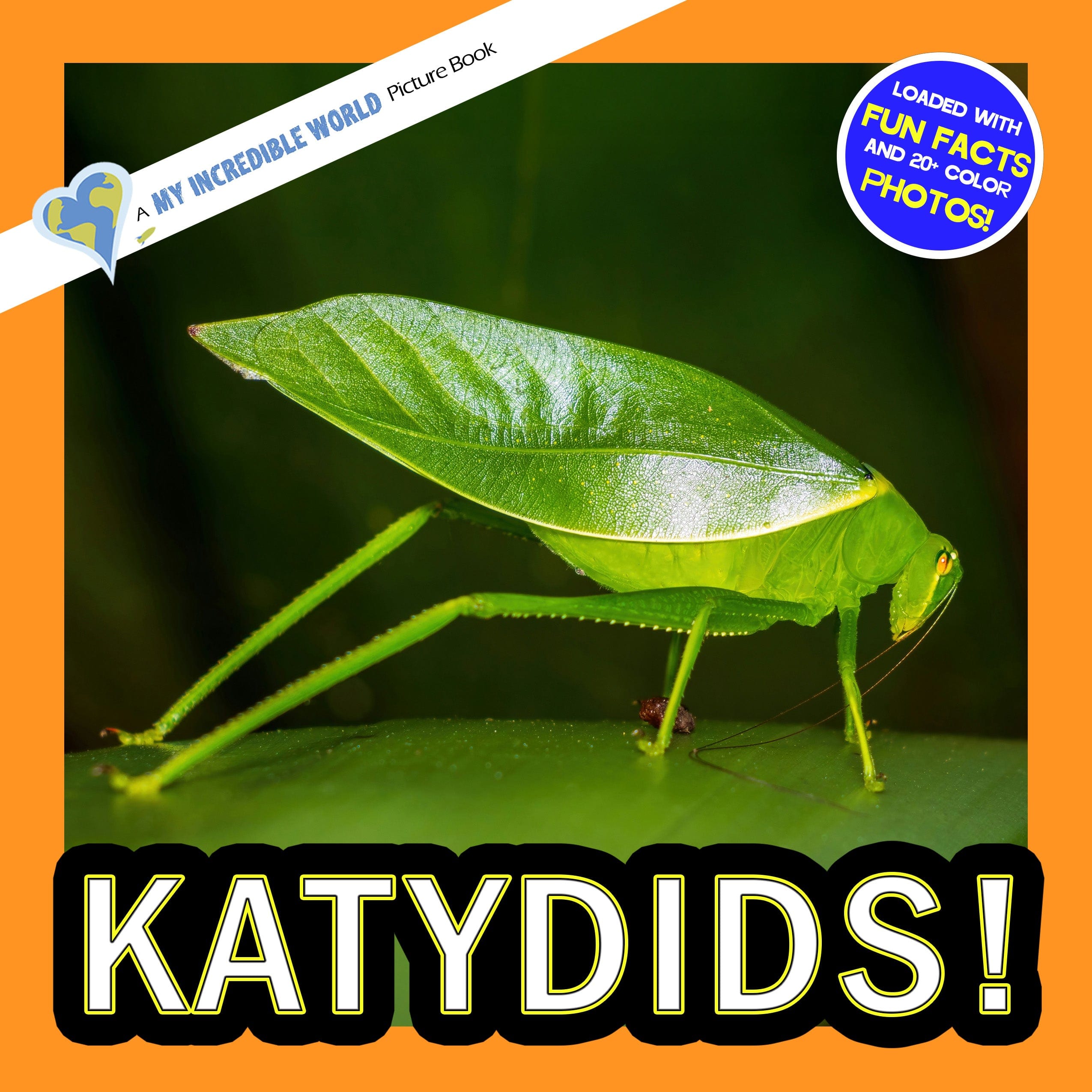 Katydids! A My Incredible World Picture Book for Children